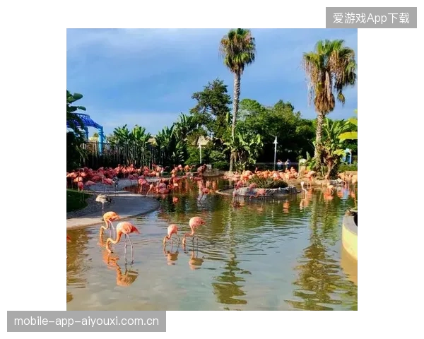 西海岸的魅力：从洛杉矶到圣地亚哥，你的下一个度假地点在这里等你！